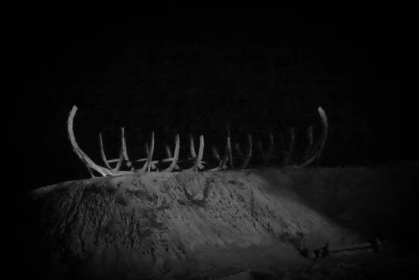 The Pagan King 
